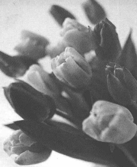 使用锐化滤镜增加图像轮廓和纹理的清晰度