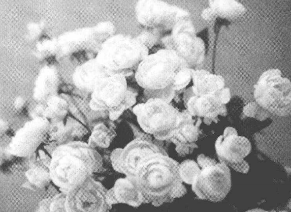 使用渲染滤镜模拟不同光源下不同的光线照明效果