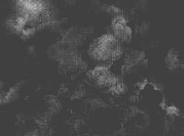 使用渲染滤镜模拟不同光源下不同的光线照明效果