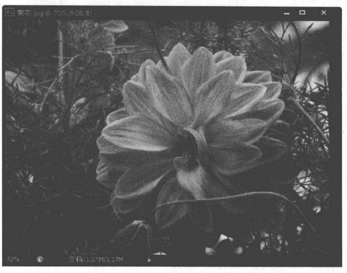 使用PhotoshopCS6中智能滤镜随意调整滤镜参数和效果