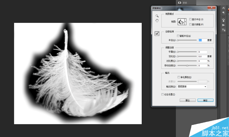 Photoshop巧用色阶快速的抠出羽毛效果图,PS教程,思缘教程网