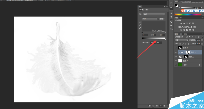 Photoshop巧用色阶快速的抠出羽毛效果图,PS教程,思缘教程网