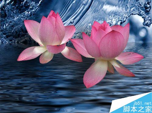 PS利用通道抠出图片上的荷花方法