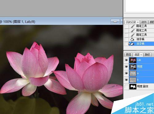 PS利用通道抠图——抠出荷花