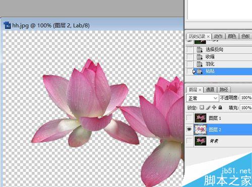 PS利用通道抠图——抠出荷花