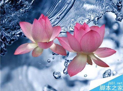 PS利用通道抠图——抠出荷花