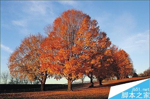 ps通道抠图实例 利用PS把天空换掉