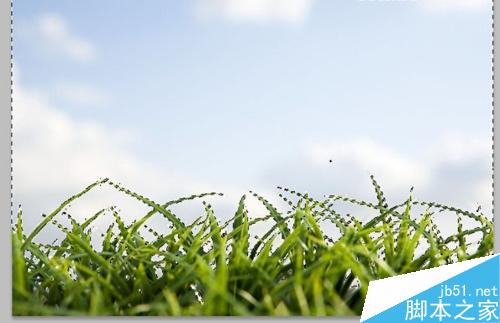 如何用PS色彩范围抠图