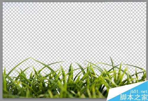 如何用PS色彩范围抠图