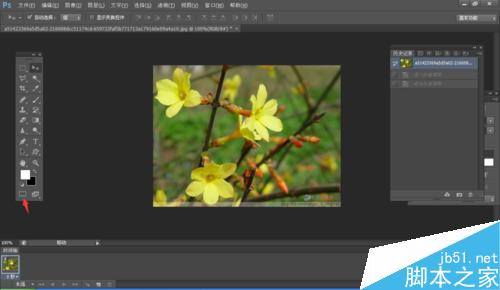 ps怎么利用快速蒙版工具抠图?