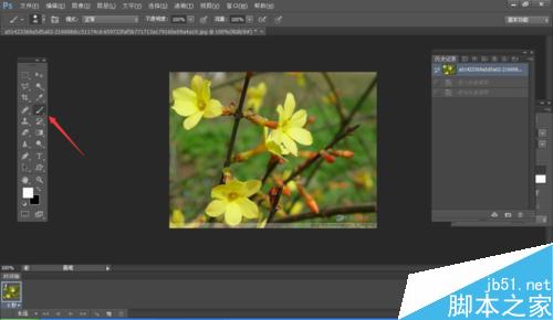 ps怎么利用快速蒙版工具抠图?