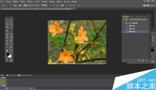 ps怎么利用快速蒙版工具抠图?
