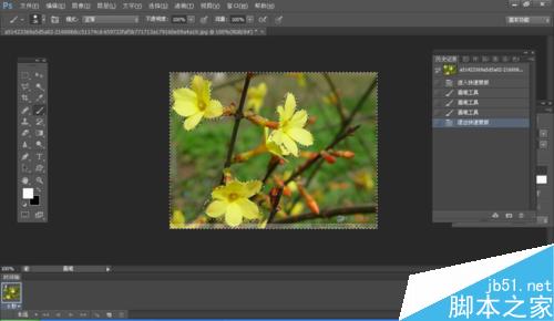 ps怎么利用快速蒙版工具抠图?