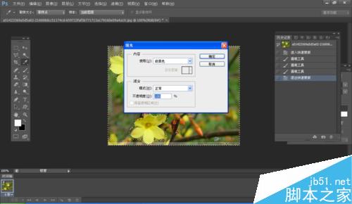 ps怎么利用快速蒙版工具抠图?