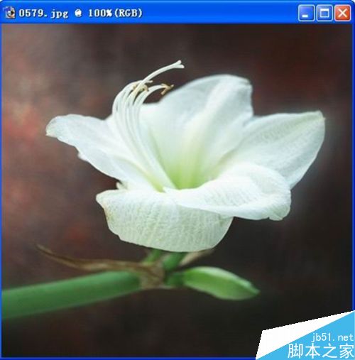 PS抠图技巧,值得学习