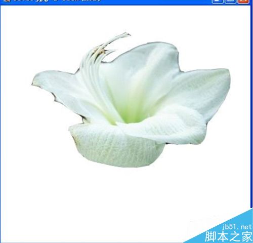 PS抠图技巧,值得学习