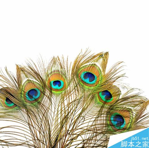 PS如何用背景抠图呢?