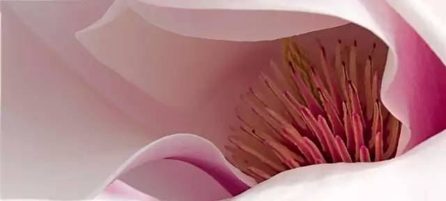 PS如何简单而不粗暴的纠正色彩差异,PS色彩差异纠正教程