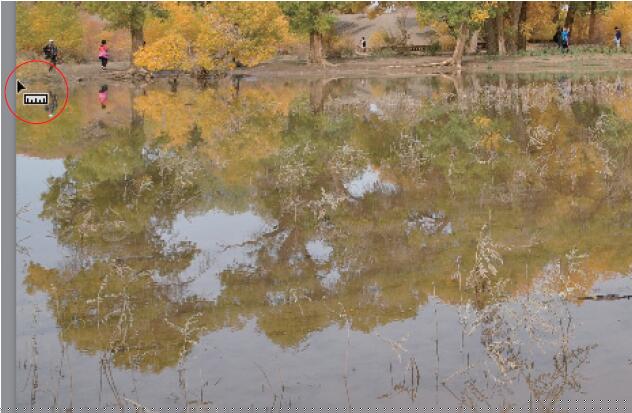 Photoshop将灰蒙蒙胡杨林图片调出清新亮丽效果教程