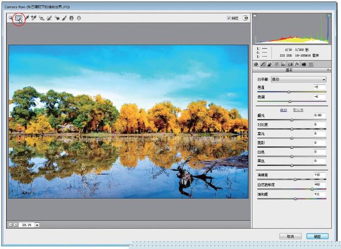 Photoshop将灰蒙蒙胡杨林图片调出清新亮丽效果教程