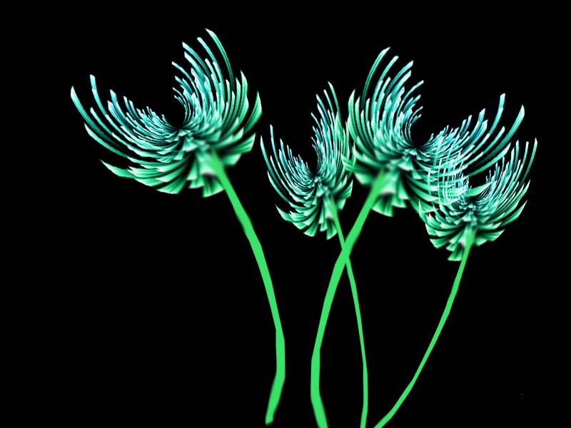 ps手绘一个简单的菊花图?利用ps滤镜功能绘制菊花效果