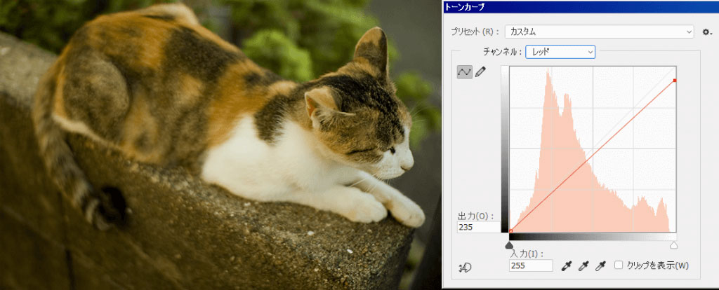 在PS里怎么调偏色 PS中使用曲线手动调节偏色照片的方法