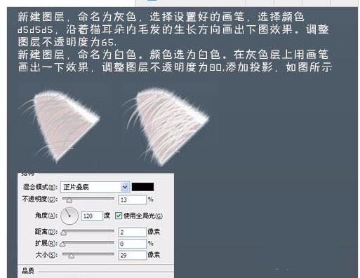 ps怎么手绘非常可爱的白猫头?