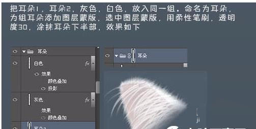 ps怎么手绘非常可爱的白猫头?