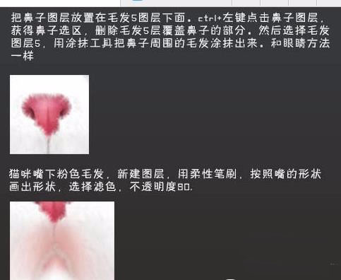 ps怎么手绘非常可爱的白猫头?