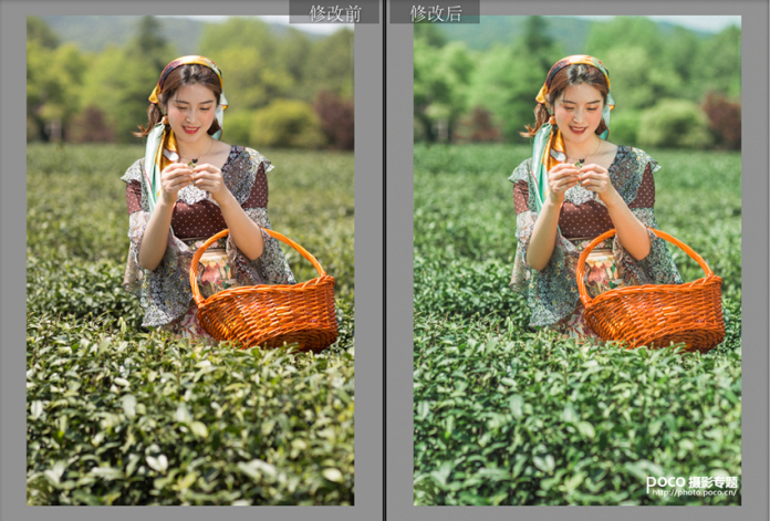 Photoshop将田园照片调出唯美手绘油画效果