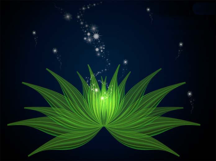 ps手绘一朵很漂亮的绿色花朵的过程