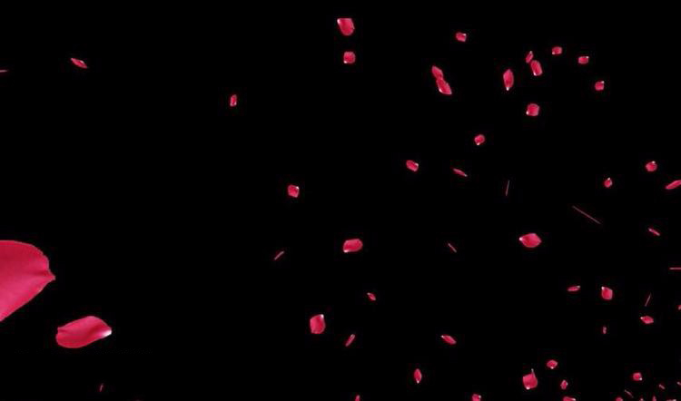 LR+PS后期调出油画质感的梦幻古风人像照片教程