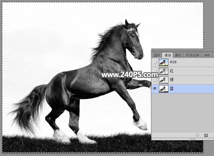 ps完美抠图快速抠出在草原上飞奔的骏马图片教程