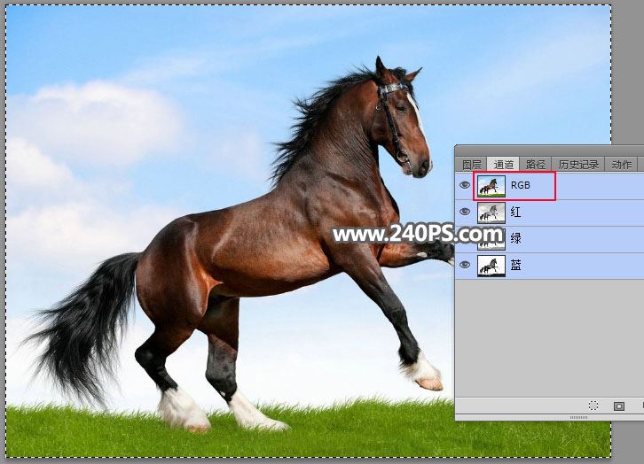 ps完美抠图快速抠出在草原上飞奔的骏马图片教程
