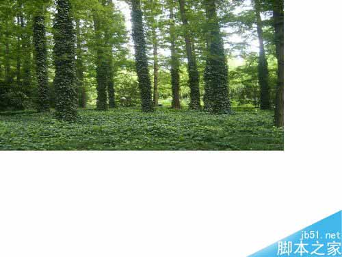 fireworks批量修改图片存储大小教程