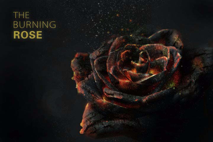 ps设计燃烧灰烬效果的玫瑰花