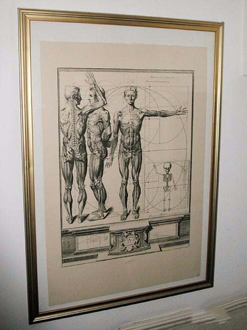 ps裁剪工具使用方法介绍