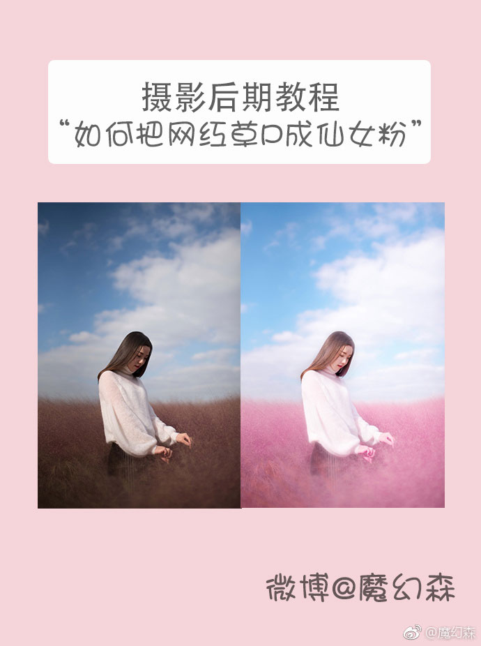 ps后期调色，把灰蒙蒙的粉黛乱子草调成清新仙女粉