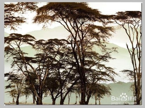 PS反相抠图教程,新手PS反相快速抠图的方法