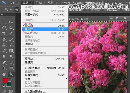 Photoshop抠出红色纯色背景的新娘照片,PS教程,思缘教程网