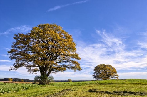 PS背景橡皮擦抠图技巧，Photoshop消除背景教程