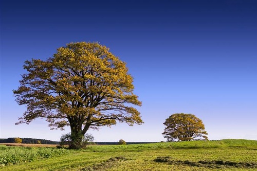 PS教程:Photoshop橡皮擦工具应用实例 小白必学!PS背景橡皮擦抠图技巧详解