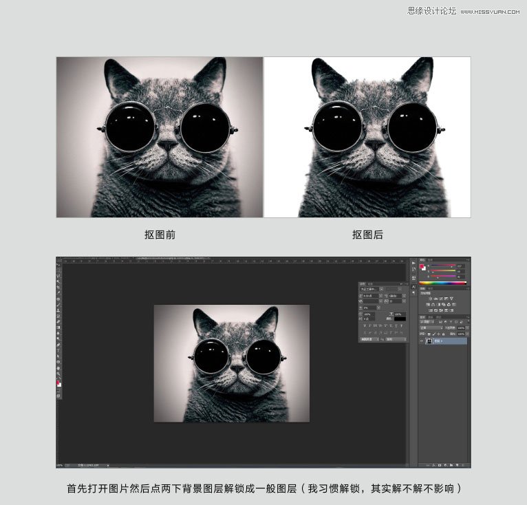 Photoshop通道给黑色猫咪抠图效果