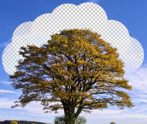 PS教程:Photoshop橡皮擦工具应用实例 小白必学!PS背景橡皮擦抠图技巧详解