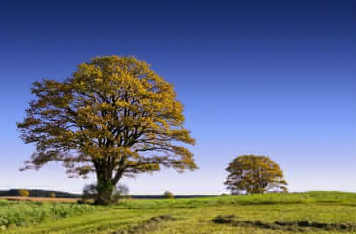 PS教程:Photoshop橡皮擦工具应用实例 小白必学!PS背景橡皮擦抠图技巧详解