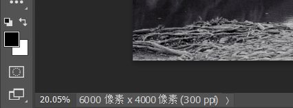 ps2021怎么修改图片尺寸? ps2021调整图片大小的三种方法