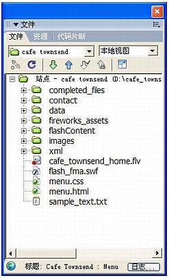 在DW“文件”面板中查看站点、文件或文件夹