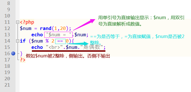16、if语句，if语句怎么使用？