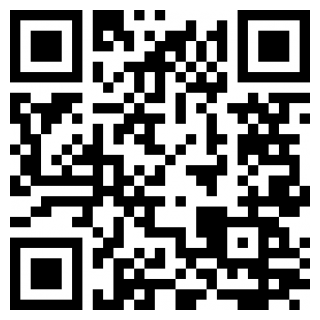 小桔有车手机版
