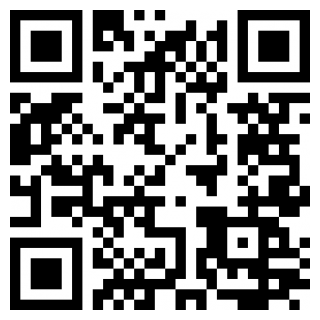 飞火动态壁纸安卓版最新